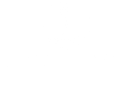 GIN Fruité 70cl - Boissons - Brasserie Distillerie Guyenne